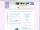 cjts immobilier - saint martin