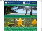 logisrev location de studios et bungalows guadeloupe