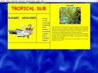 tropical sub