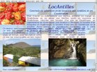 location de vacances en guadeloupe studio villa gites