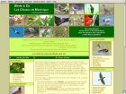 Birds And Co Les Oiseaux De Martinique