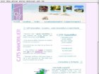commerce cjts immobilier - saint martin marigot