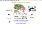 La Montagne Aux Orchidées