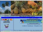 Location Vacances Deshaies Guadeloupe