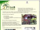 Piton Plongée (la Note Bleue)