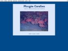 Plongée Caraibes : Plongée A St Barth