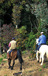 Equitation Dominique : Loisirs verts