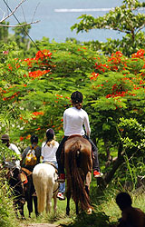 Equitation Dominique : Loisirs verts
