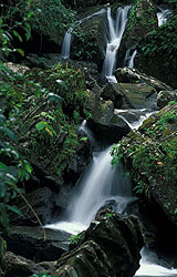 Trekking randonnes en Dominique : Loisirs verts