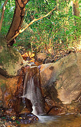 Trekking randonnes en Dominique : Loisirs verts