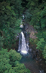 Trekking randonnes en Dominique : Loisirs verts