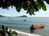 Plages de la Dominique Turtle Bay Woodford Hill Prince Rupert : Loisirs