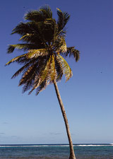 Gographie de la Guadeloupe : Dcouverte