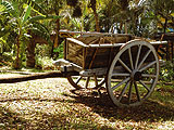 Histoire de la Guadeloupe : Dcouverte