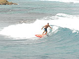 peche plongee voile et ports en guadeloupe : Loisirs Bleus