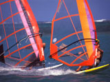 Planche  voile en Guadeloupe : Loisirs Bleus