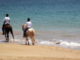 quitation en Guadeloupe : Loisirs verts