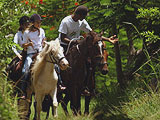 quitation en Guadeloupe : Loisirs verts