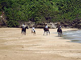 quitation en Guadeloupe : Loisirs verts