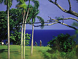 golf en Guadeloupe : Loisirs verts