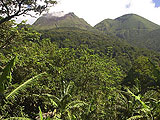 Trekking randonnes en Guadeloupe : Loisirs verts