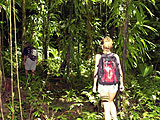Trekking randonnes en Guadeloupe : Loisirs verts