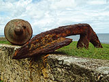  - Vieux Habitants : Guadeloupe