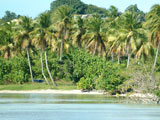 Plages en guadeloupe : Loisirs