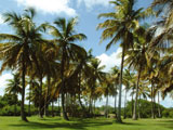 Sites Naturels en guadeloupe : Art & Culture