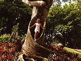 Sites Naturels en guadeloupe : Art & Culture