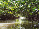 Balades 4x4 canyoning golf equitation en Martinique :