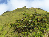 Balades 4x4 canyoning golf equitation en Martinique :