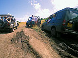 4x4 Quad en  Martinique : Loisirs verts