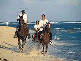 Equitation en Martinique : Loisirs verts