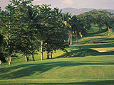 Golf en Martinique : Loisirs verts
