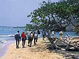 Trekking balade en Martinique