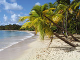 Plages de Martinique : Loisirs