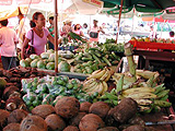  - Fort de France : Martinique