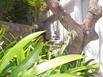 hotel au coeur caraibe st barth