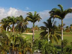 Bwa Chik Hotel & Golf :  Guadeloupe