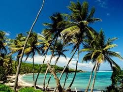 Sugar Reef Bequia : Hotel  Saint-Vincent-et-les-Grenadines