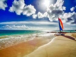 Sea Breeze Beach Hotel :  Barbade