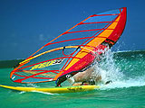Planche à voile Surf à Saint Barthélémy : Loisirs bleus