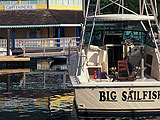 Pche au gros  Saint Martin : Loisirs bleus