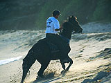 Equitation  Saint Martin : Loisirs verts