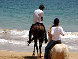 Equitation  Saint Martin : Loisirs verts